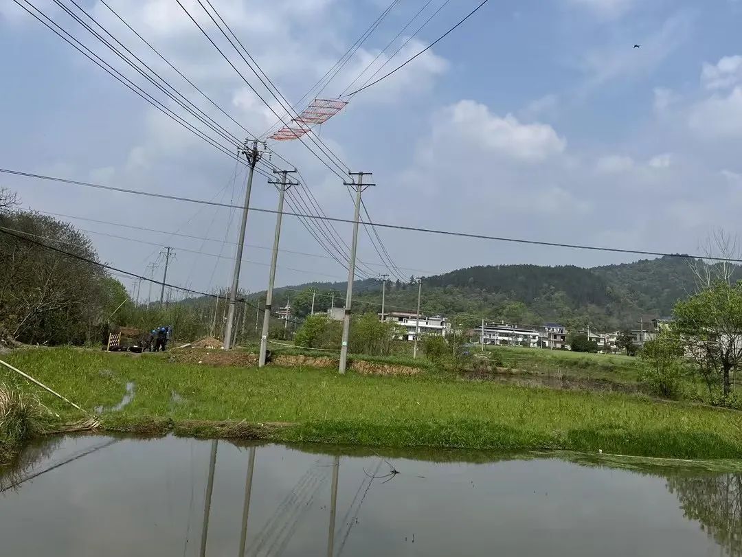 香港六宝典资料